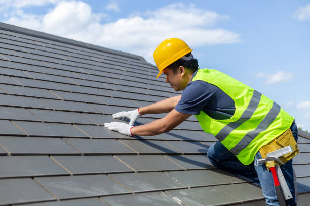 Best Roof Gutter Cleaning  in Stuart, IA