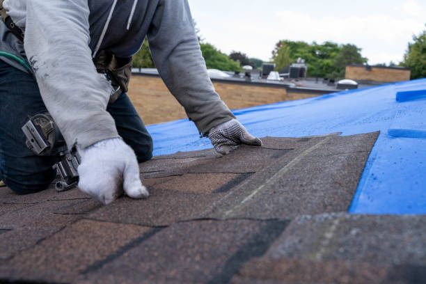 Quick and Trustworthy Emergency Roof Repair Services in Stuart, IA