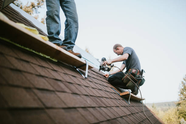Professional Roofing Contractor in Stuart, IA